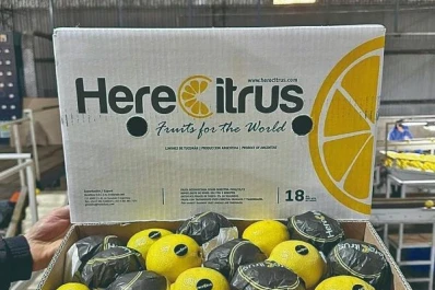 Herecitrus despide un año de crecimiento en la exportación de fruta fresca