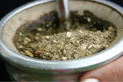 Cuál es la poderosa hierba que podés agregarle al mate para combatir el cansancio