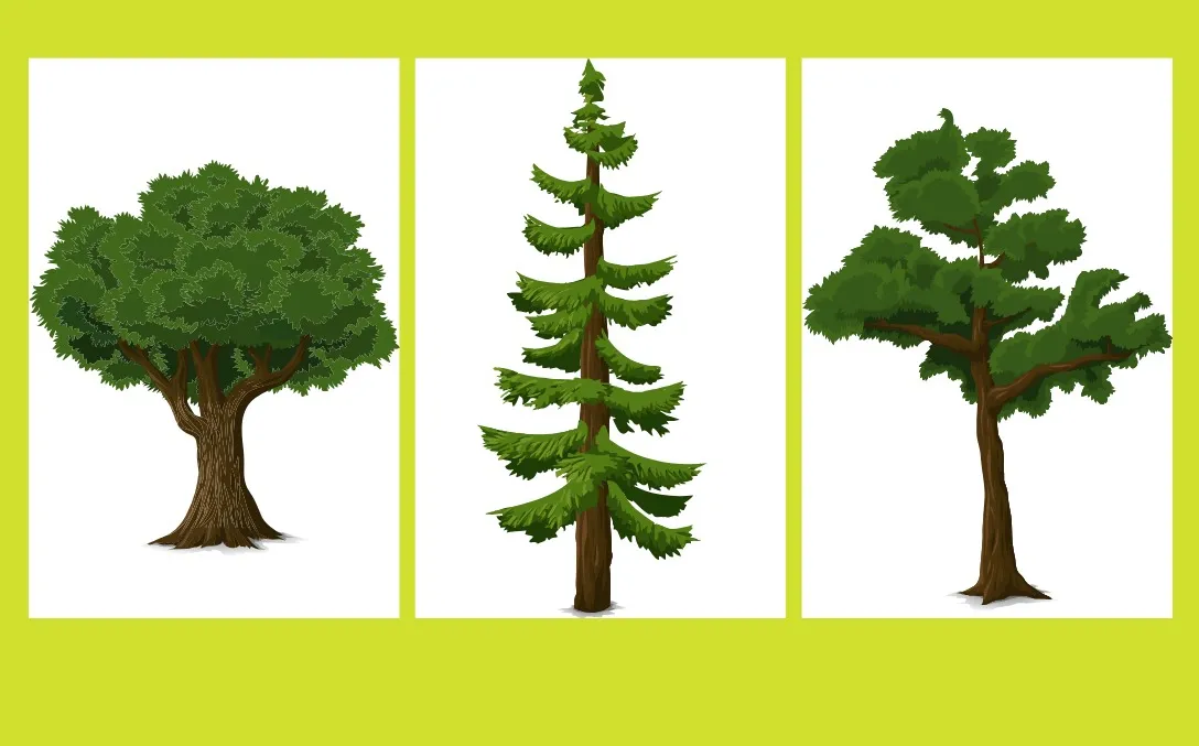 Un test de personalidad que es furor en las redes sociales.