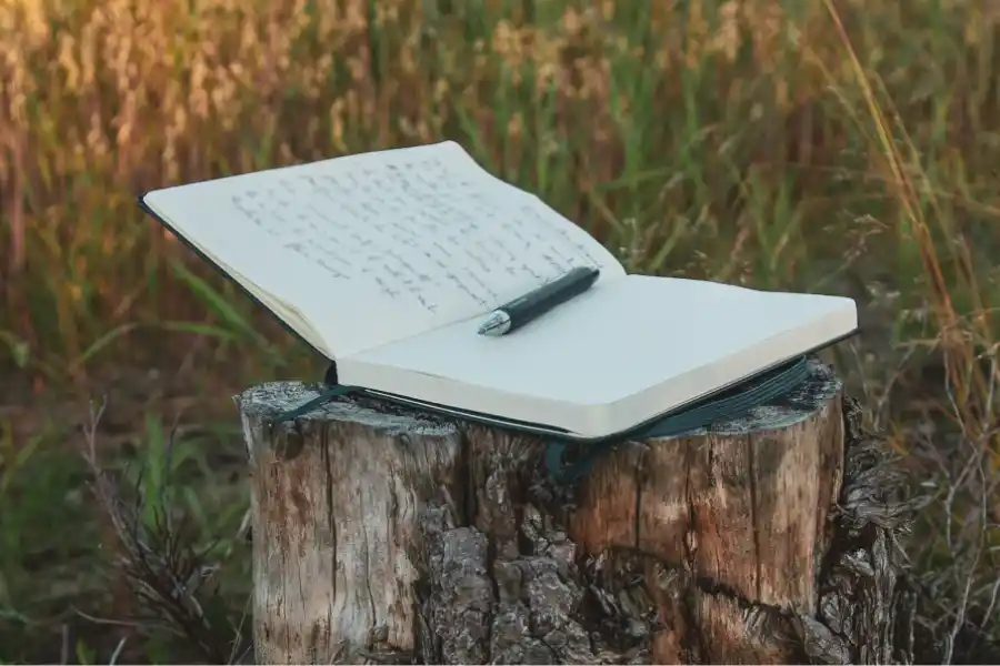 CONEXIÓN CON LA NATURALEZA. Los 50 autores seleccionados tendrán árboles en su nombre en el Bosque de la Poesía. / UNSPLASH