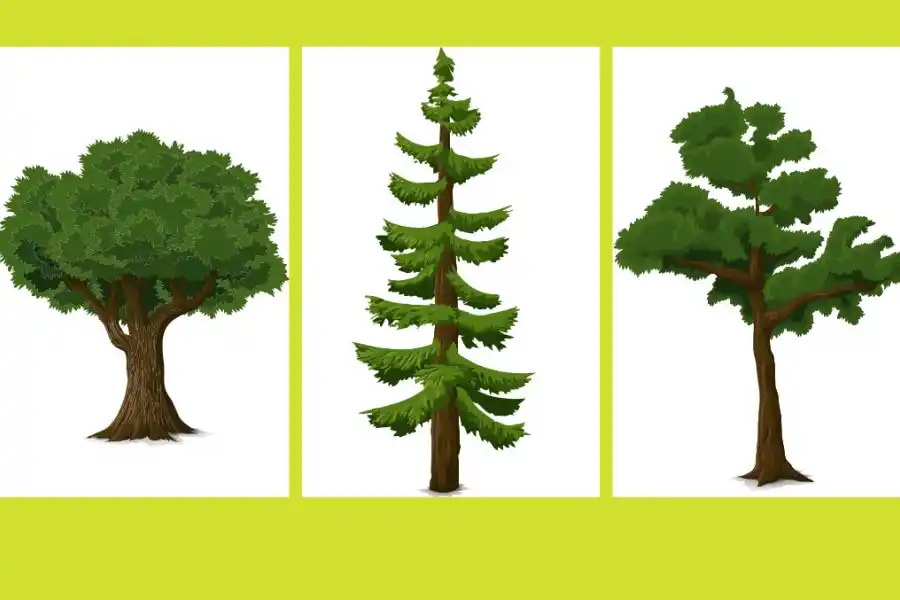 Un test de personalidad que es furor en las redes sociales.