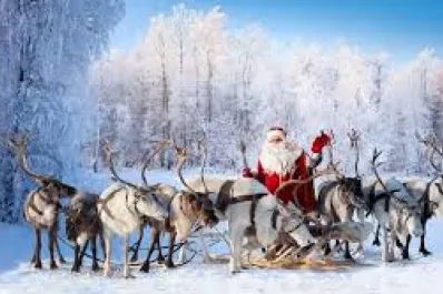 Según la biología, todos los renos del trineo de Papá Noel son hembras