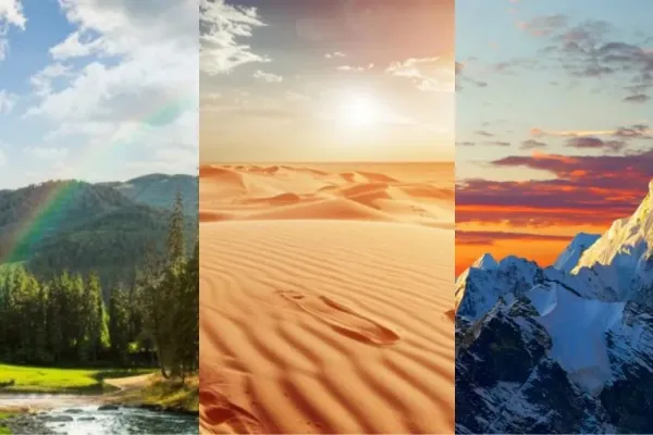 Test de personalidad: elegí uno de los caminos y descubrí cómo te irá en el 2025