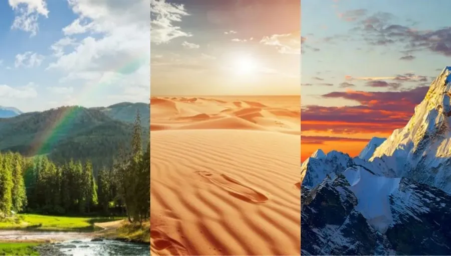 Test de personalidad: elegí uno de los caminos y descubrí cómo te irá en el 2025