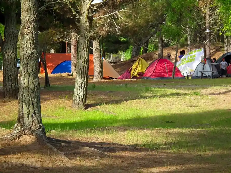 CARPAS EN EL BOSQUE. Acampe en Costa Silvestre. / PITCHUP