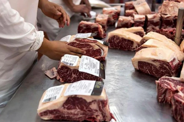 Carne: de enero a noviembre creció un 11% la exportación