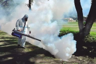 “Cuando el cambio climático enferma”: el documental de LA GACETA que explica por qué crecen los casos de chikungunya