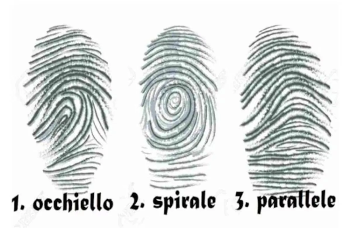 Un test de personalidad que es furor en las redes sociales.