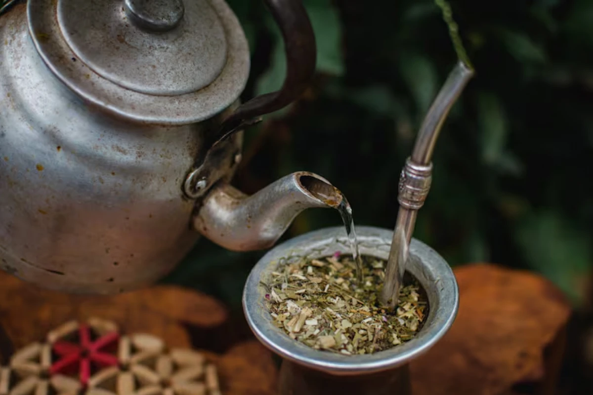 Hito histórico: científicos argentinos descifraron el genoma del mate.