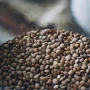 Lentejas: el superalimento económico que aporta proteínas, hierro y saciedad