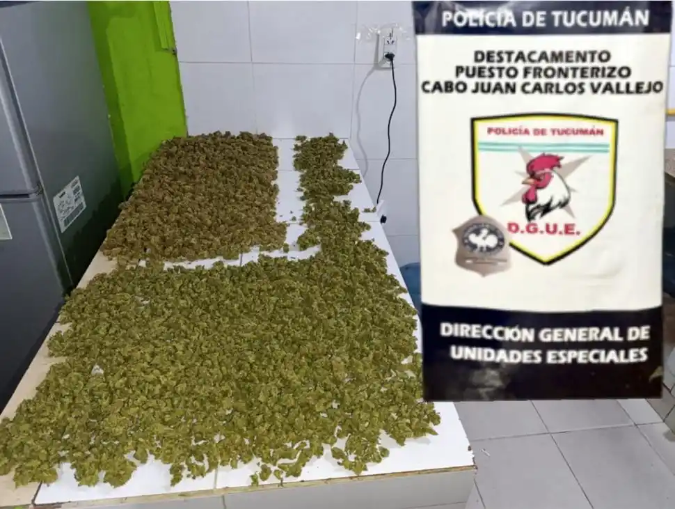 PRUEBA. El cannabis que traen los narcotraficantes desde el norte es de mayor calidad.