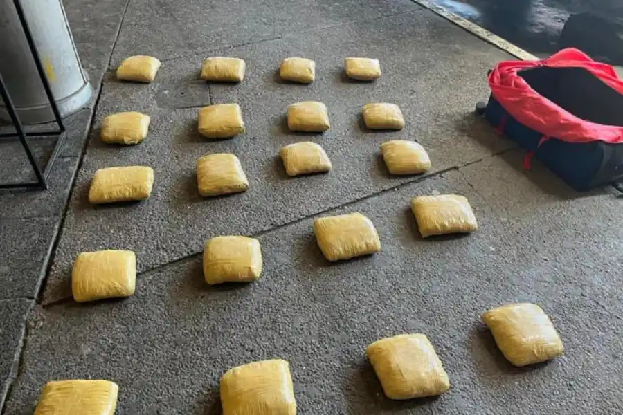 OTRO MÁS. La carga de flores de marihuana con la valija decomisada en la Terminal.