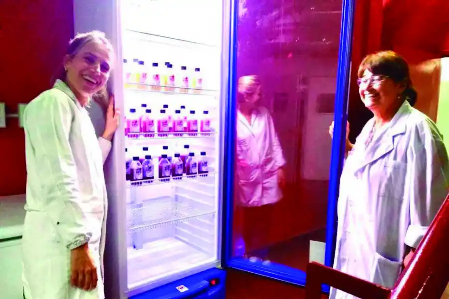 “Tomy” es el proyecto que apunta a la elaboración de una bebida muy nutritiva, a base de suero lácteo.