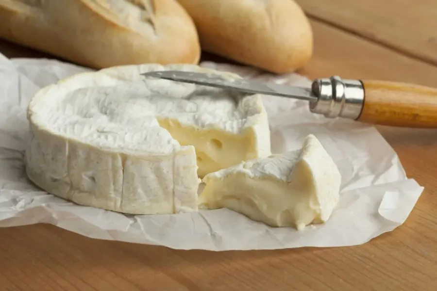 El queso Camembert es beneficioso para la salud cerebral 
