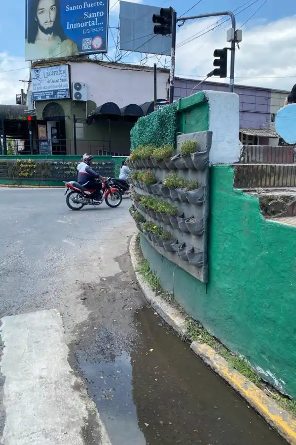 LA GACETA en WhatsApp: vereda bloqueada