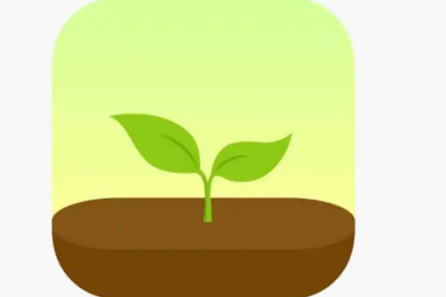 DEJAR EL CELULAR UN MOMENTO. Forest es ideal para dejar el móvil y concentrarse en actividades más importantes. DIARIO AS