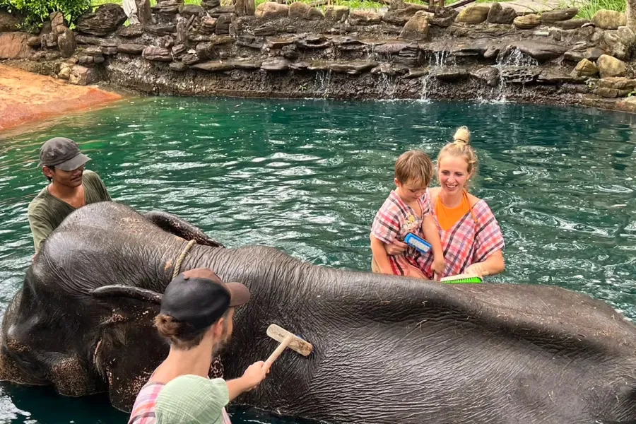 Lavar a los elefantes constituye una actividad habitual en los centros de esparcimiento de elefantes en Tailandia