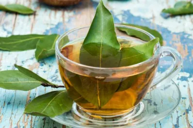¿Qué pasa si tomás té de laurel en ayunas?: los seis beneficios que pocos conocen