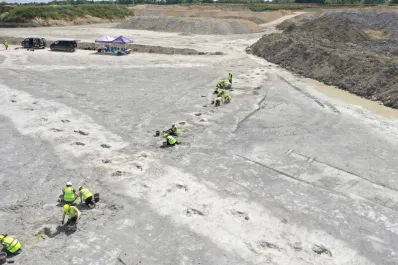 Una “autopista de dinosaurios”: hallaron más de 200 huellas gigantes en una cantera del Reino Unido