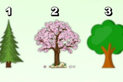 Test de personalidad: elegí uno de los tres árboles y descubrí si sos una persona insegura