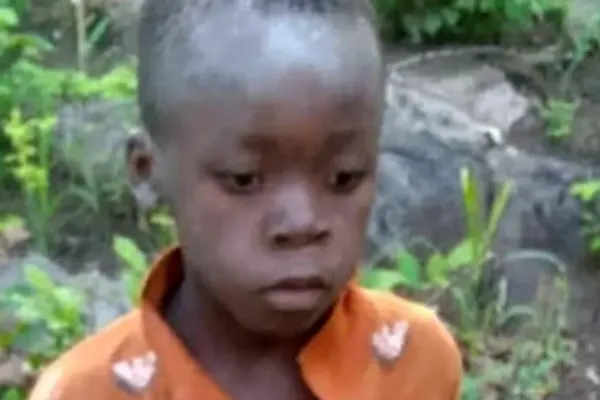 Un niño de ocho años sobrevivió cinco días en un parque habitado por leones