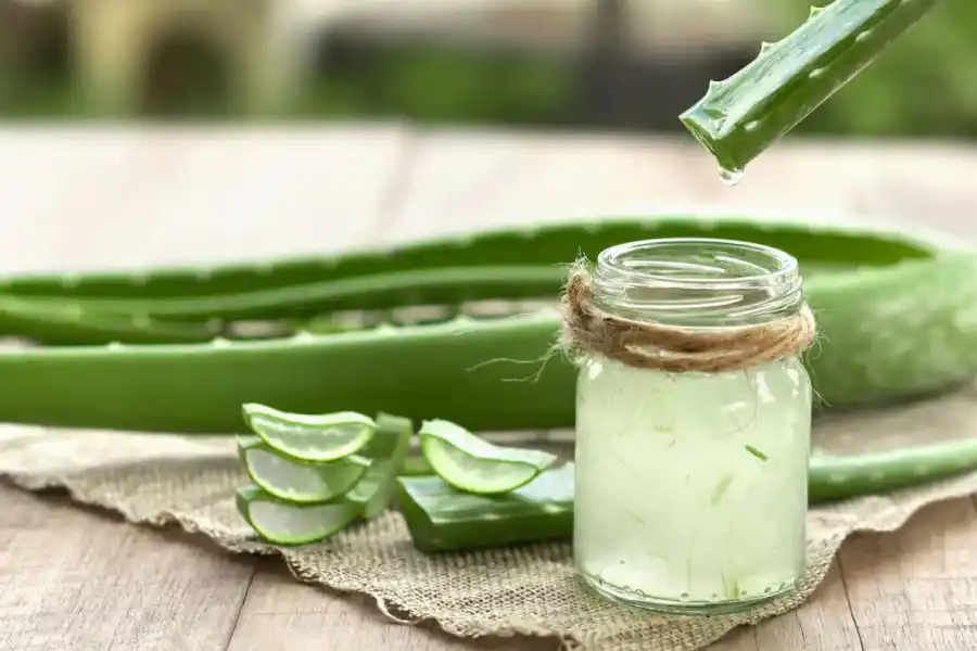 El gel de aloe vera trae múltiples beneficios por sus propiedades hidratantes, antiinflamatorias y antioxidantes.