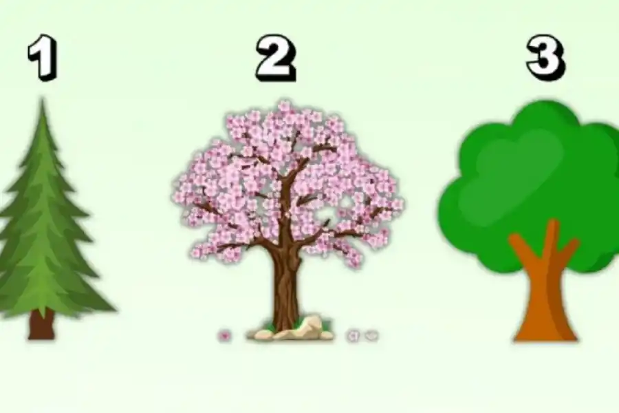 Test de personalidad: elegí uno de los tres árboles y descubrí si sos una persona insegura