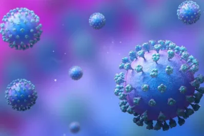 Nuevo virus respiratorio en China:¿qué es, cómo se contagia y qué tan grave es?