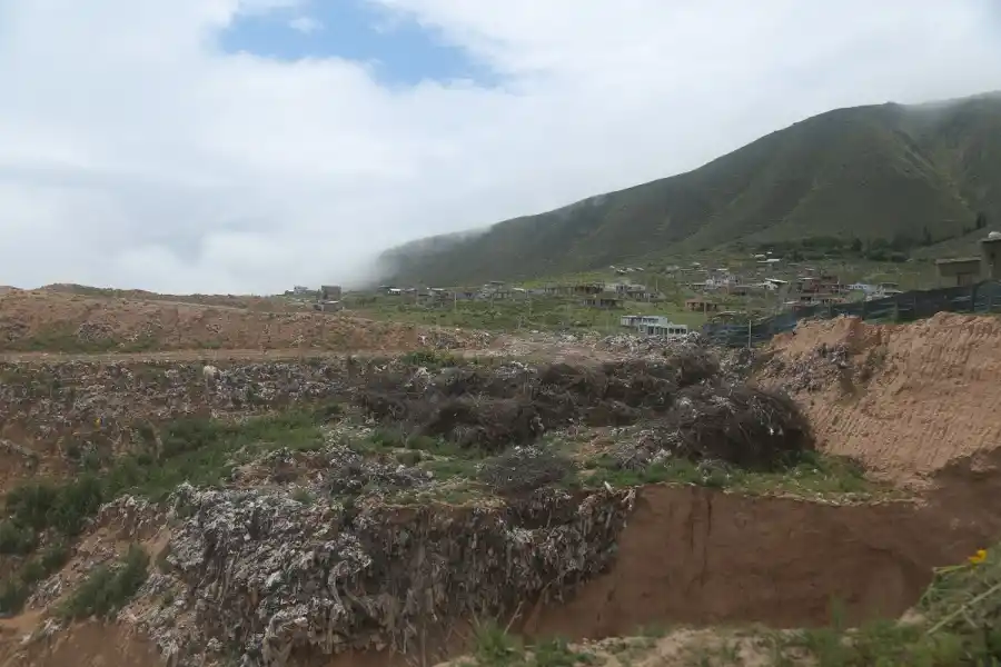 Moscas, animales muertos y olor a podrido: quejas por el tratamiento de los residuos en El Mollar