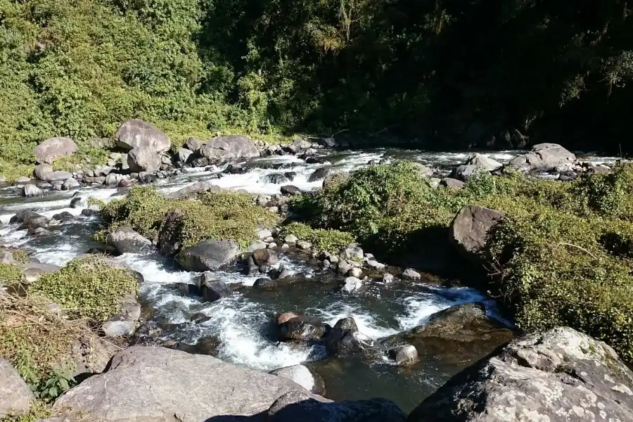 RESERVA NATURAL DE LOS SOSA. una postal que muestra la belleza de la naturaleza tucumana./TRIPADVISOR
