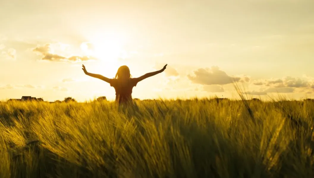 Esta técnica busca lograr la armonización de las dimensiones del hombre.