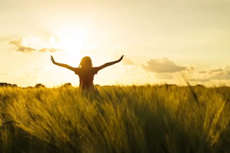 Esta técnica busca lograr la armonización de las dimensiones del hombre.