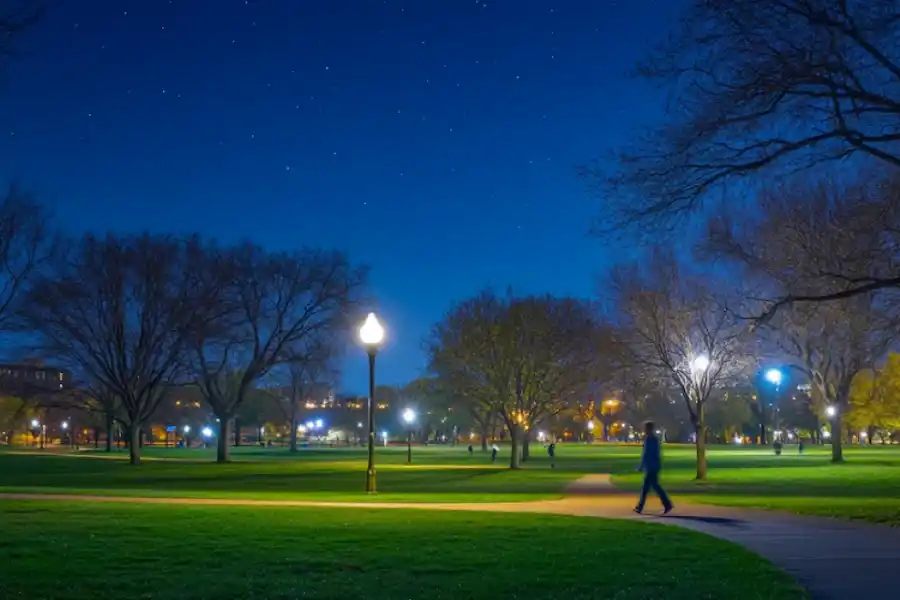 La regla de los 10 minutos de Steve Jobs, ciencia y creatividad en acción