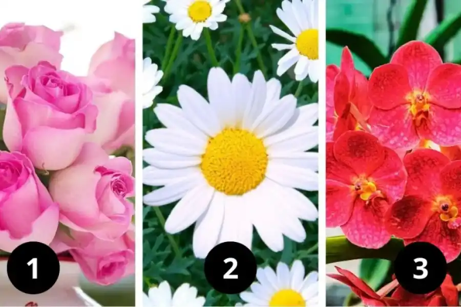Test de personalidad: la flor que elijas te dirá que debes soltar para crecer este 2025