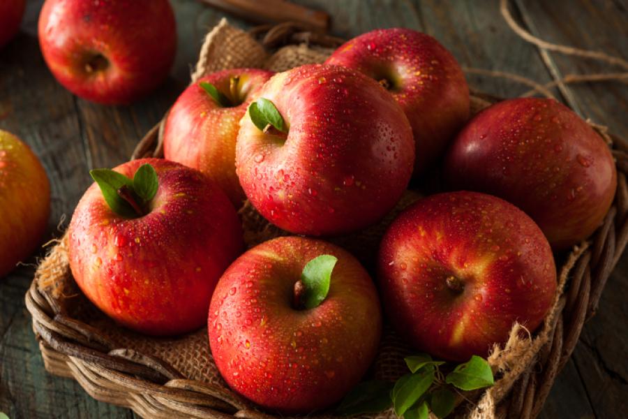 La manzana es una fruta con múltiples beneficios para la salud.