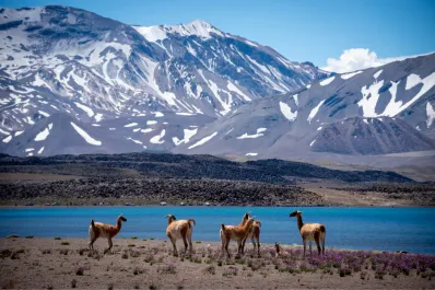 Cómo llegar y qué hacer en la Laguna del Diamante, la maravilla natural mendocina
