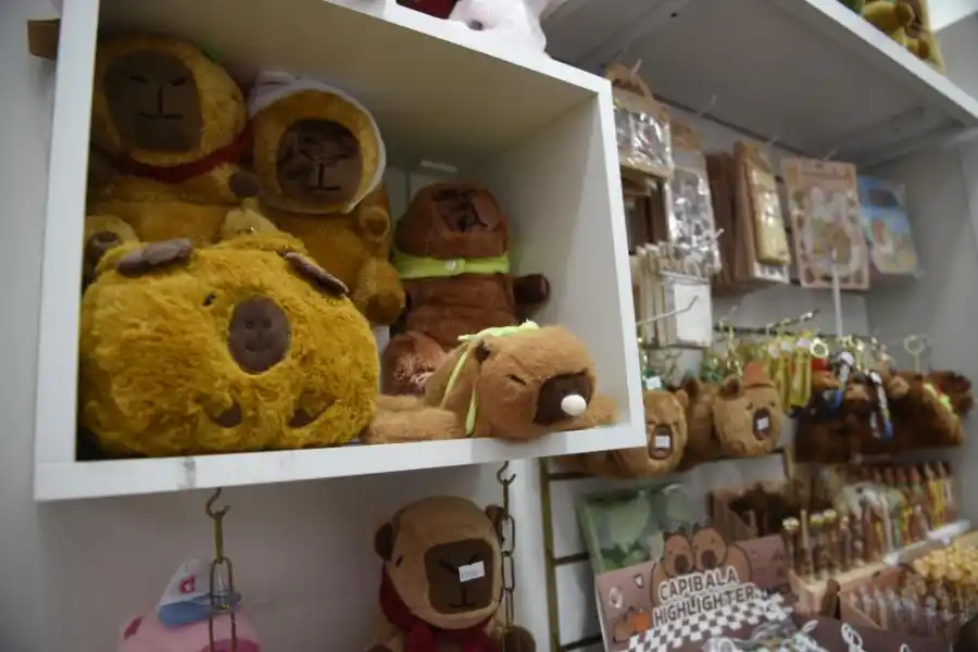 FUROR. Hay productos inspirados, desde peluches, mochilas y ropa.