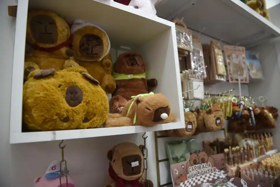 FUROR. Hay productos inspirados, desde peluches, mochilas y ropa.