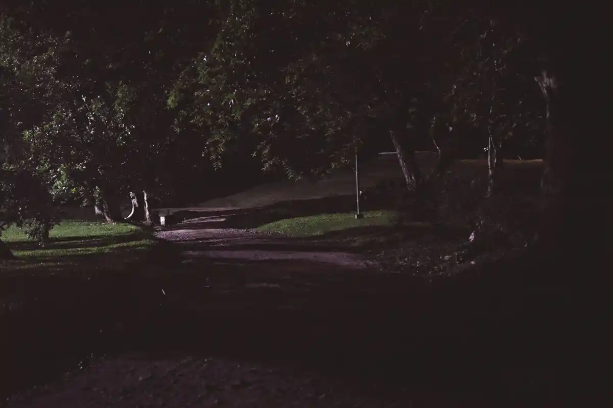 De día es uno; de noche, otro: el parque Guillermina y su doble cara