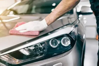 Anmat prohibió la venta de desengrasantes, aromatizantes y otros productos para autos