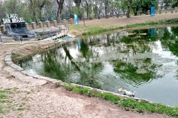 Video: así descubrieron al trapito cocinando un ganso del lago San Miguel