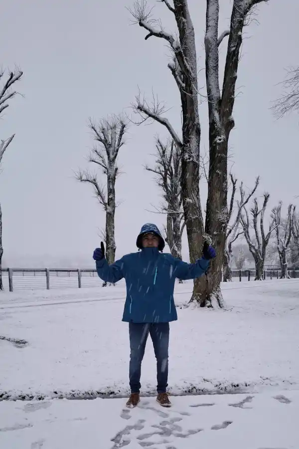 Juddmonte Farms cuenta con más de 800 ejemplares, distribuidos en Estados Unidos, Francia, Inglaterra, Irlanda y Australia.