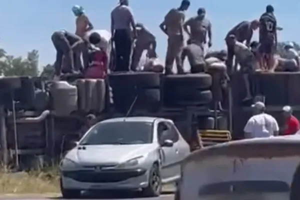 Volcó un camión lleno de animales y los vecinos los faenaron
