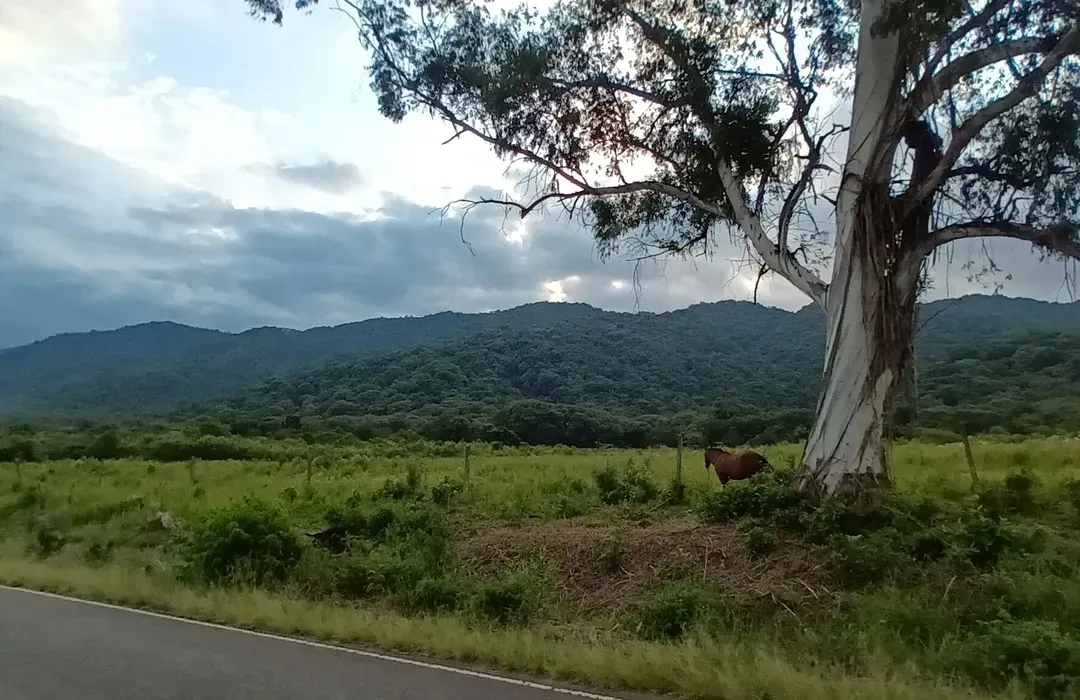 LOS MEJORES. senderos de Tucumán para hacer con amigos./ ALL BIKES