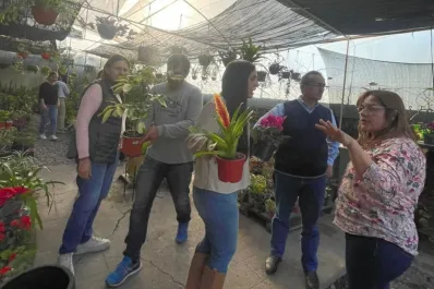 Vivero La Esperanza: donde la naturaleza y el diseño se encuentran para crear espacios únicos