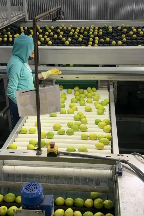 A ESCALA. Los científicos pudieron realizar ensayos de carácter “semi comercial” y probar la viabilidad y sostenibilidad de las metodologías investigadas. Gentileza fotos de Viviana Rapisarda