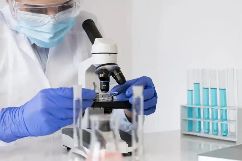 Salud para limones y personas: científicos buscan reducir el uso de fungicidas y mejorar la durabilidad poscosecha de la fruta