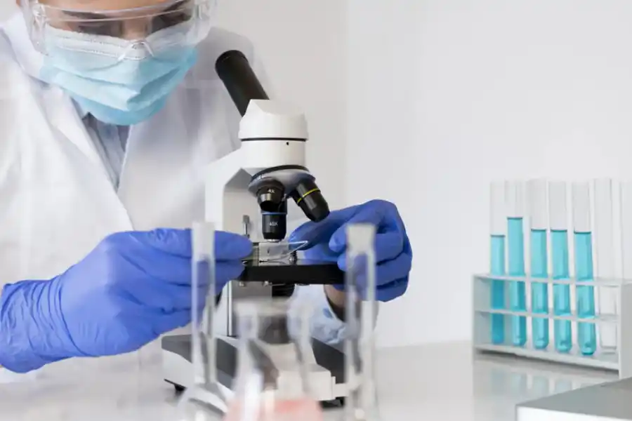 Salud para limones y personas: científicos buscan reducir el uso de fungicidas y mejorar la durabilidad poscosecha de la fruta