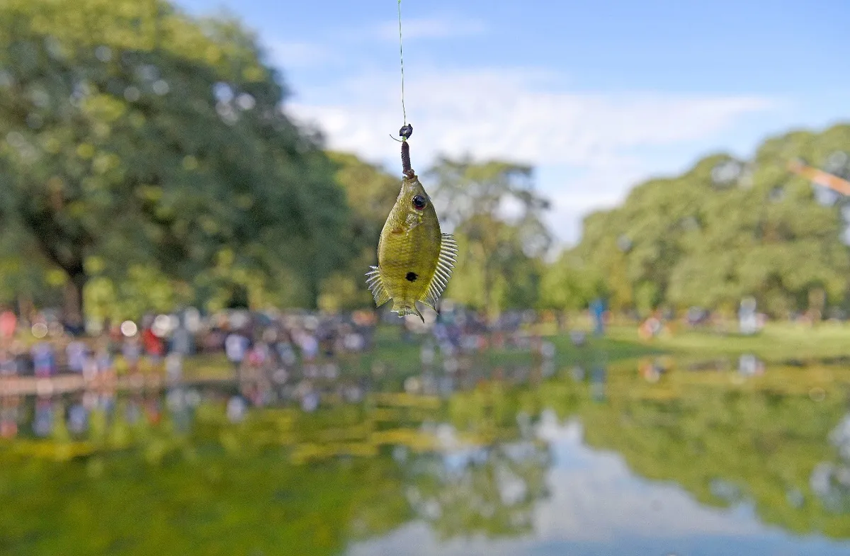 Domingo en el Parque: entre la pesca, los saltos prohibidos, la basura y el goce
