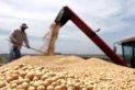 Los agroexportadores liquidaron una cifra récord de dólares antes de la suba de las retenciones